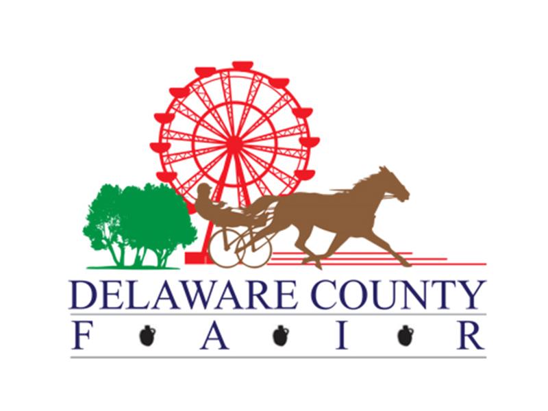 Delaware County Open Show 2025